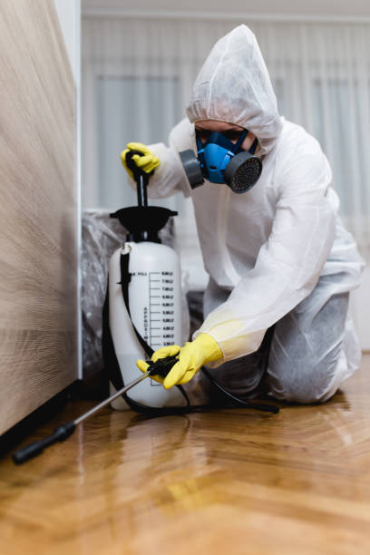 Trusted Glenwood City, WI Pest control Experts